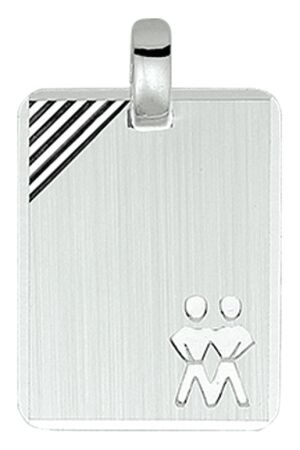 Huiscollectie grav. pl. tweeling Huiscollectie grav. pl. tweeling