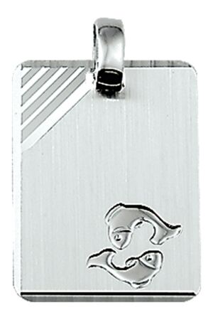 Huiscollectie grav. pl. vissen