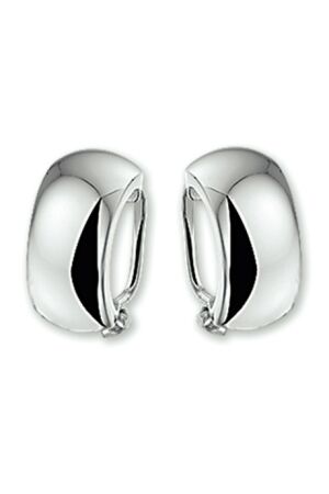 Huiscollectie clips zilver glad gl Huiscollectie clips zilver glad gl