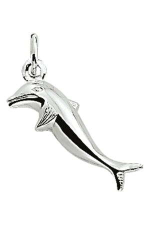 Huiscollectie dolfijn.zilver Huiscollectie dolfijn.zilver