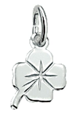 Huiscollectie klavertjes zilver Huiscollectie klavertjes zilver