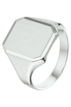 Huiscollectie zegel ring 21,5 Huiscollectie zegel ring 21,5