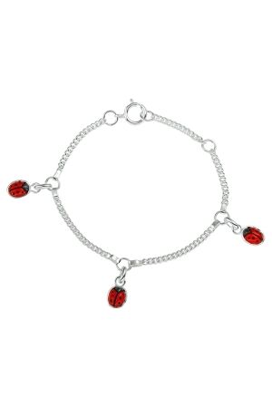 Huiscollectie lieveh zilv Huiscollectie lieveh zilv