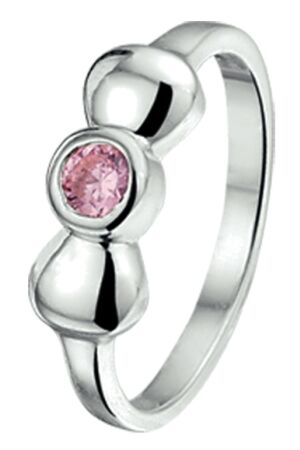 Huiscollectie roze zirk zilv Huiscollectie roze zirk zilv