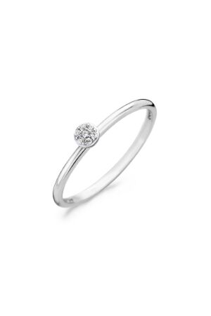 Blush zirk bovenop Blush zirk bovenop