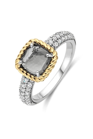 Tisento grijs bicolor 56