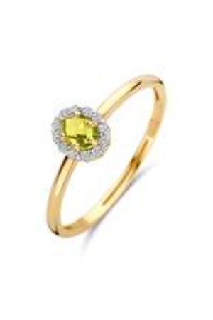 Blush geelgoud mt 54