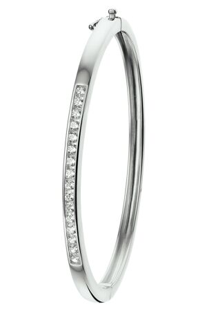 Huiscollectie zilver met zirk Huiscollectie zilver met zirk