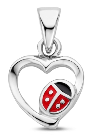 Huiscollectie hart lieveheersbeest