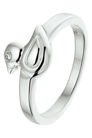 Huiscollectie eend 13,5