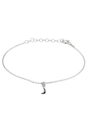 Huiscollectie maan zilv