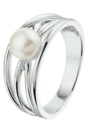 Huiscollectie zoetwaterparel zilv