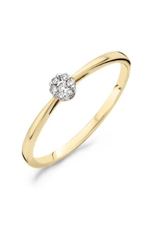 Blush Diamonds 0,05 ct mt 50 Blush Diamonds 0,05 ct mt 50