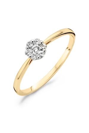 Blush geel goud diam