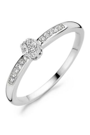 Blush Diamonds 0,12 ct diamant 54 Blush Diamonds 0,12 ct diamant 54