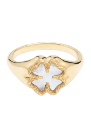 Buddha To Buddha katja clover 17