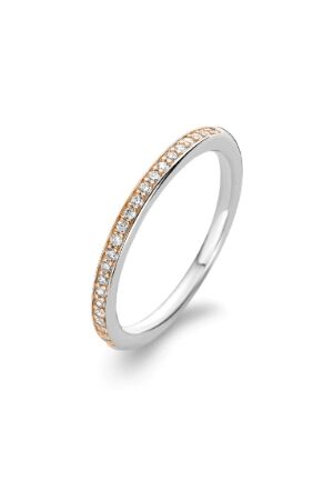 Tisento Pave zirk. Tisento Pave zirk.