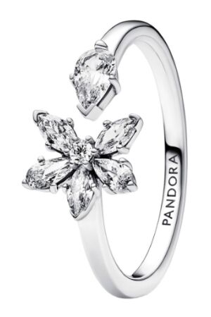 Pandora cluster ring 54 Pandora cluster ring 54