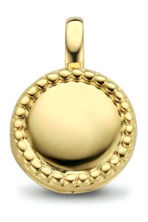 Huiscollectie verguld medallion Huiscollectie verguld medallion