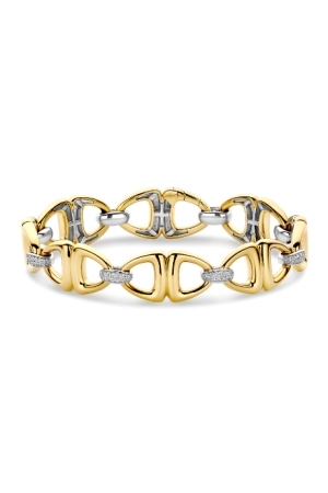 Tisento verguld zirk schakel