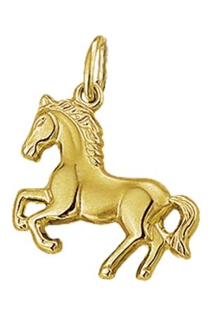 Huiscollectie 14k paard Huiscollectie 14k paard
