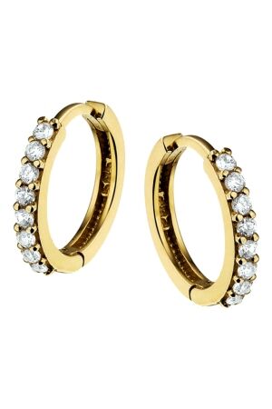 Huiscollectie goud met zirk Huiscollectie goud met zirk