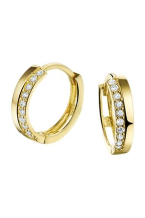 Huiscollectie 12x2.5mm met zirk Huiscollectie 12x2.5mm met zirk