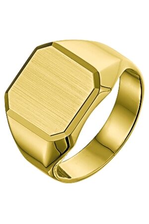 Huiscollectie zegel ring goud Huiscollectie zegel ring goud