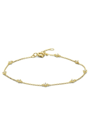 Huiscollectie armb zirk