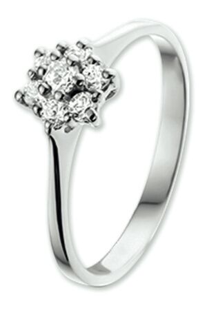 Huiscollectie witgoud zirk 17,5 Huiscollectie witgoud zirk 17,5