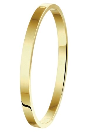 Huiscollectie zil-gold bangle Huiscollectie zil-gold bangle