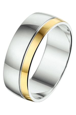 Huiscollectie zilver met goud 16,5 Huiscollectie zilver met goud 16,5