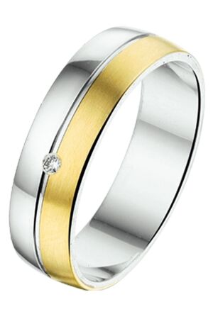 Huiscollectie 0,02 ct goud14kt zil  Huiscollectie 0,02 ct goud14kt zil