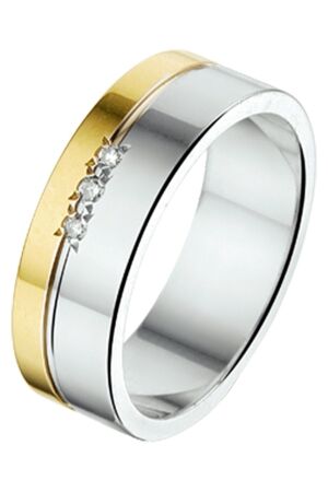 Huiscollectie goud met zilv 18,5 Huiscollectie goud met zilv 18,5