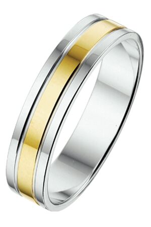 Huiscollectie goud 14krt zilv 5 mm Huiscollectie goud 14krt zilv 5 mm