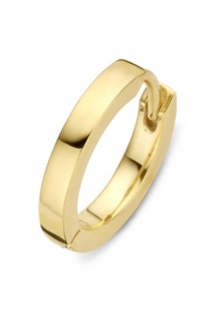 Moments creolen verguld