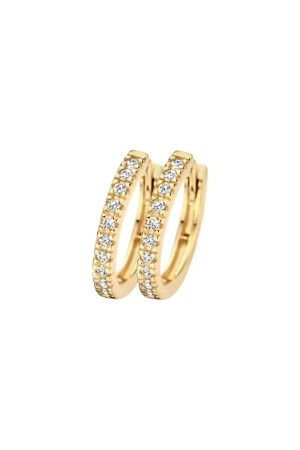 Blush zirk geelgoud Blush zirk geelgoud