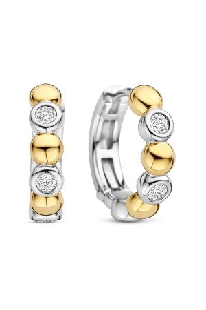 Tisento bicolor zirk Tisento bicolor zirk