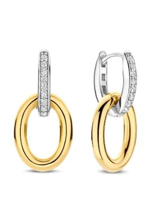 Tisento bicolor zirk Tisento bicolor zirk