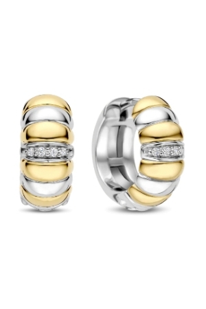 Tisento bicolor zirk