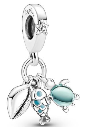 Pandora vis, schildpad Pandora vis, schildpad