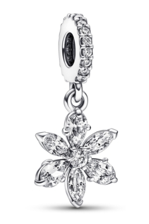 Pandora cluster dangle