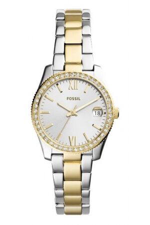 Fossil double-staal Fossil double-staal