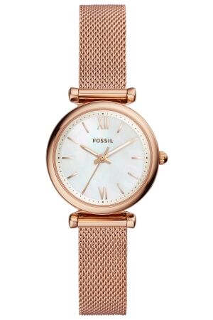 Fossil mesh band Fossil mesh band