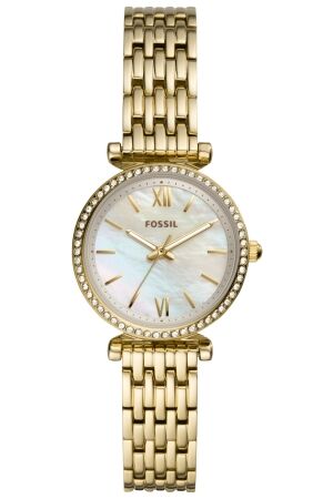 Fossil double zirk Fossil double zirk