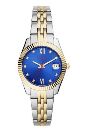 Fossil blauw bicolor Fossil blauw bicolor