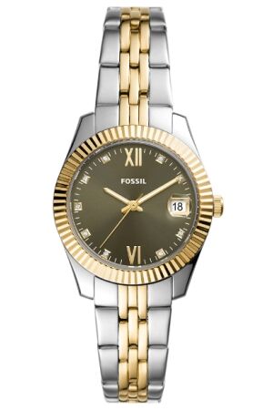 Fossil staal goud Fossil staal goud