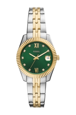 Fossil bicolor groen wzp