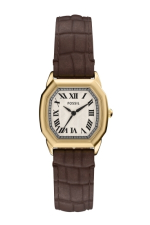 Fossil bruin leren band