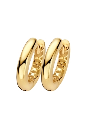 BLG creolen geelgoud